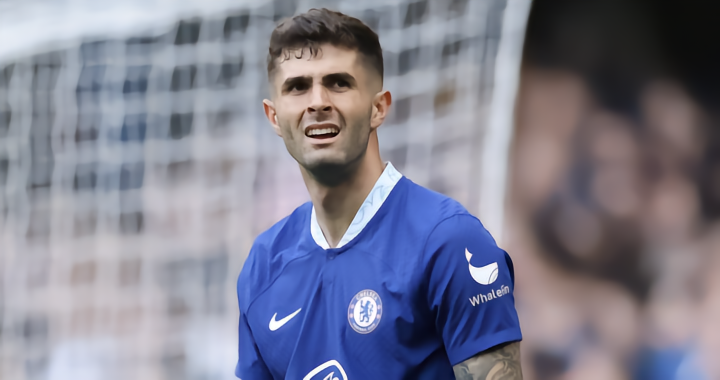 团队提供了 团队提供了